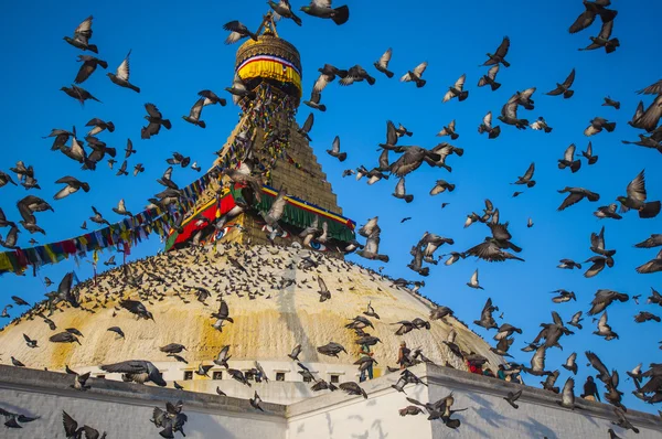 Великі ступи Bodhnath — стокове фото