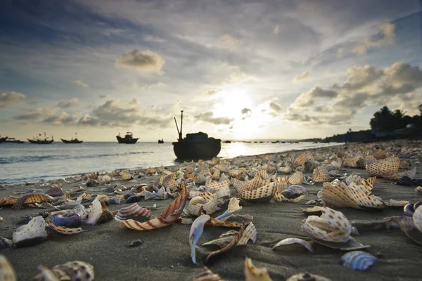 MUI Kuzey Plajı, vietnam
