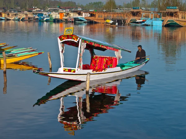 Shikara. — Fotografia de Stock