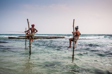 Balıkçılık sri Lanka