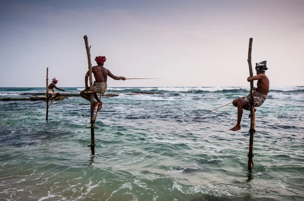 Balıkçılık sri Lanka