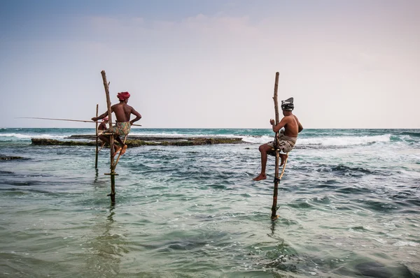 Balıkçılık sri Lanka