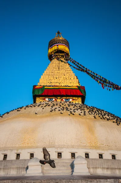 A grande estupa — Fotografia de Stock