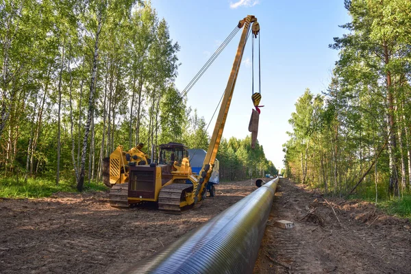 Pipelayer with side boom Installation of  gas and crude oil pipes in ground. Construction of the gas pipes to new LNG plant.