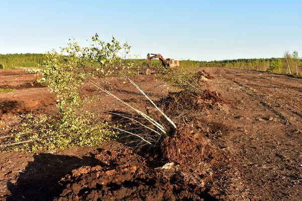 Destruction of trees on peatlands and drainage of peat bogs at extraction site. Drilling on bog for oil exploration. Wetlands declining and under threat. Global climate change