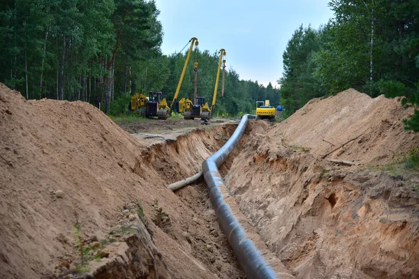 Natural gas pipeline construction work in forest area. Installation of  gas and crude oil pipes. Pipe on top of wooden supports at construction site. Construction of gas pipes to new LNG plant