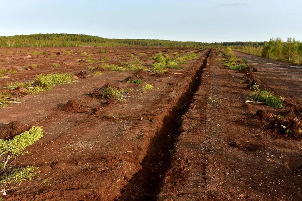 Drainage ditch in the peat extraction site. Drainage and destruction of peat bogs. Drilling on bog for oil exploration. Mining and harvesting peatland. Landscape of the peatlands