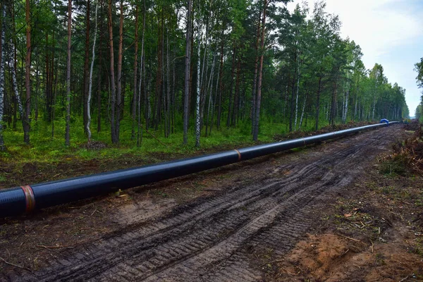 Construction Gas Pipeline Project. Natural Gas and Crude oil  Transmission in pipe to LNG plant (shipped by LPG tanker). Building of transit petrochemical pipe in forest area. Pipes Welding