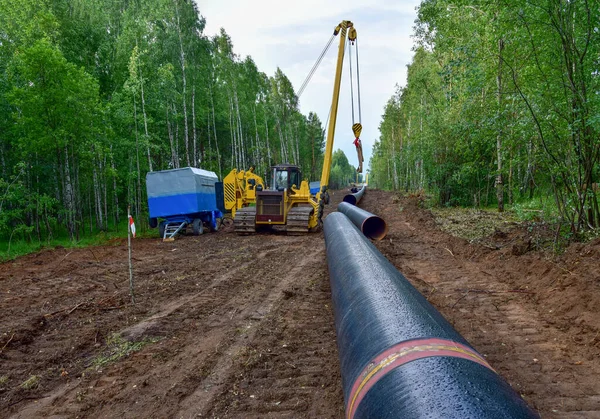 Construction Gas Pipeline Project. Natural Gas and Crude oil  Transmission in pipe to LNG plant (shipped by LPG tanker). Building of transit petrochemical pipe in forest area. Pipes Welding