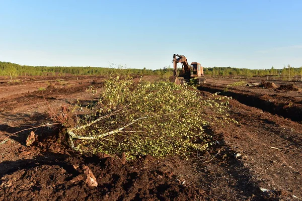 Landscape on peatlands where being development of the peat. Drainage of peat bogs at extraction site. Drilling on bog for oil exploration. Wetlands declining and under threat.