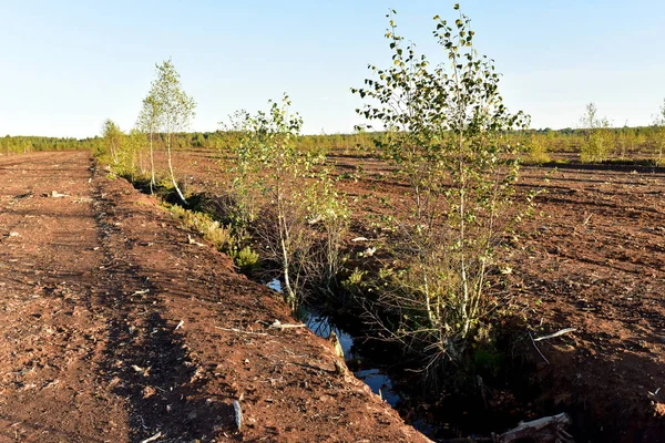 Landscape on peatlands where being development of the peat. Drainage of peat bogs at extraction site. Drilling on bog for oil exploration. Wetlands declining and under threat.