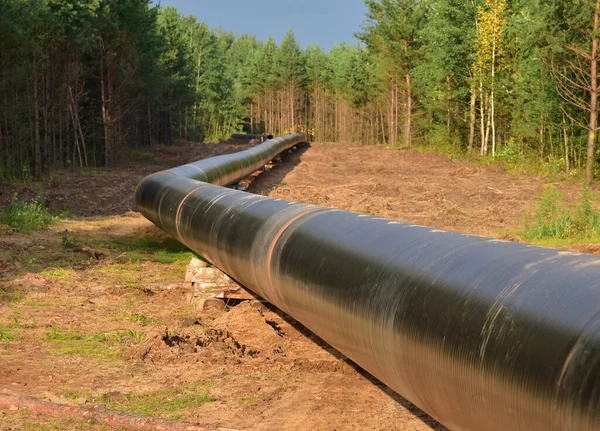 Natural gas pipeline construction work in forest area. Installation of  gas and crude oil pipes. Construction of gas pipes to new LNG plant.