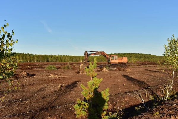 Excavator digging drainage ditch in peat extraction site. Drainage of peat bogs and destruction of trees. Drilling on bog for oil exploration. Mining peatlands. Wetlands declining and under serious threat