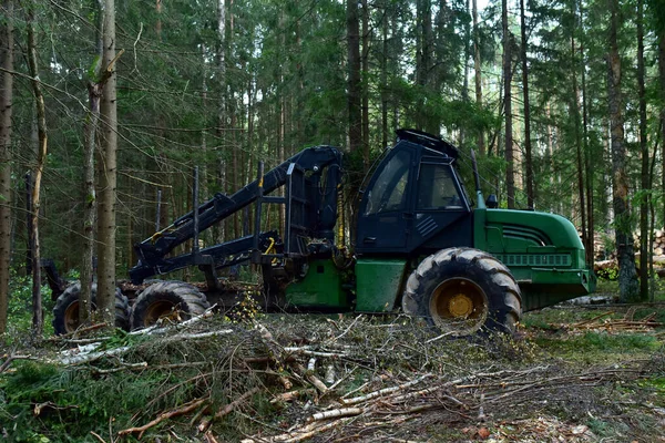 Crane forwarder machines at during clearing of a plantation. Wheeled harvester transports raw timber from the felling site out to a road for collection by a truck. Harvesters, forest Logging machines