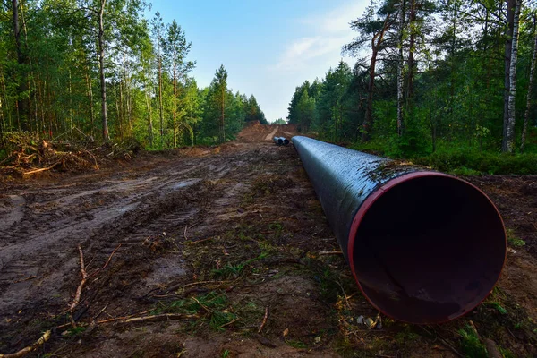 Construction Gas Pipeline Project. Natural Gas and Crude oil  Transmission in pipe to LNG plant (shipped by LPG tanker). Building of transit petrochemical pipe in forest area. Pipes Welding