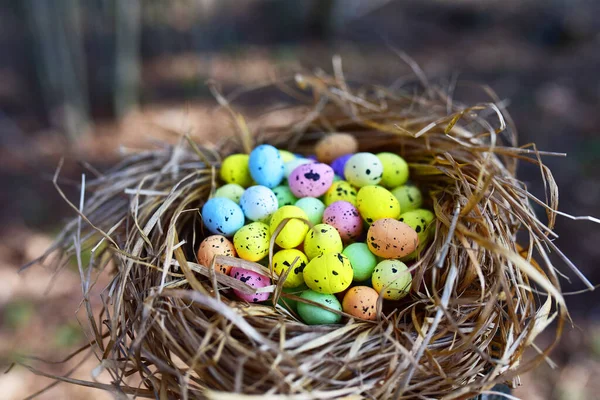 Multi-colored Easter eggs in a bird\'s nest. Straw and twig bird nest with egg. Easter is a Christian holiday that celebrates the belief in the resurrection of Jesus Christ