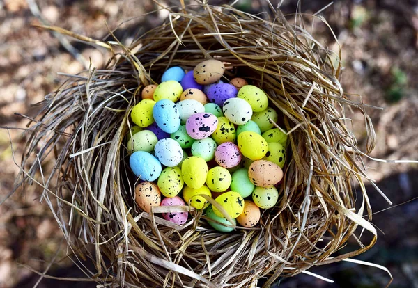 Multi-colored Easter eggs in a bird\'s nest. Straw and twig bird nest with egg. Easter is a Christian holiday that celebrates the belief in the resurrection of Jesus Christ