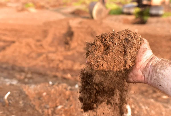 Peat Moss background. Peat moss industry harvests and ships millions of kilograms to countries around the world. Peatlands at extraction site