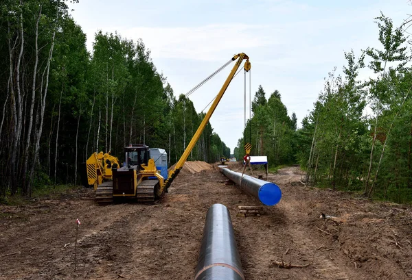 Natural gas pipeline construction work in forest area.  Petrochemical Pipe on top of wooden supports. Installation and Construction the Pipeline for transport gas to LNG plant