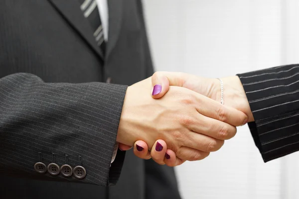 Businesswoman and businessman shakeing hands. Successful busines Stock Photo