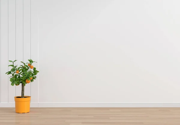 Orange tree in white living room with copy space for mockup, 3D rendering