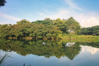 Gölün kıyılarında yeşilin bir kombinasyonunun manzarası. Ağaçlar gölde yansır.