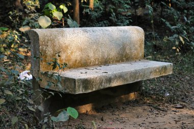 Ağaçlarla şifalı bitkiler arasında kirli bir bank var.