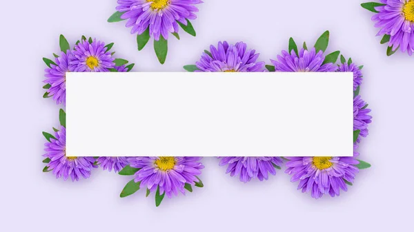 浅紫色背景下的紫色花朵 有文字区域 — 图库照片