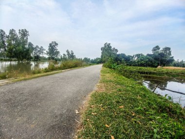 Aydınlık bir yaz gününde, nehrin yanında mavi gökyüzü olan ıssız bir yol..