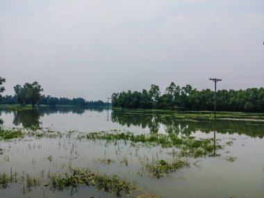Suyun görüntüsü güzel mavi gökyüzünü ve elektrik hattı kulesini yansıtıyor..