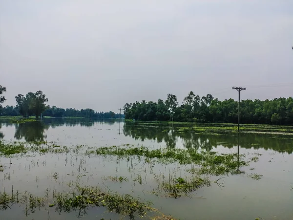 Suyun görüntüsü güzel mavi gökyüzünü ve elektrik hattı kulesini yansıtıyor..