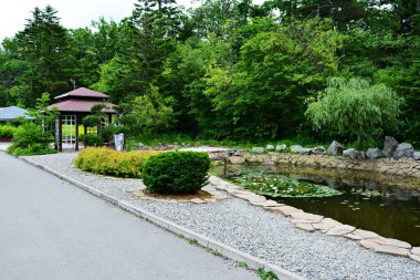 Su zambakları göleti ve söğüt ağacının yanındaki parkta Japon tarzı küçük bir çardak.