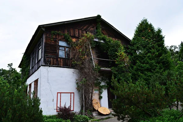 Oscura Casa Vieja Con Plantas Tejedoras Cortes Sierra Madera — Foto de Stock