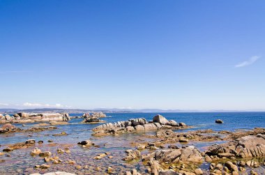 Kumsalda güneşli bir gün. Tatil sahnesi