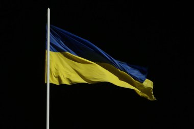 Ukrayna 'nın sarı ve mavi bayrağı bir bayrak direğinde dalgalanır rüzgarda siyah bir gökyüzüne karşı.