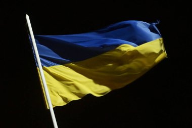 Ukrayna 'nın sarı ve mavi bayrağı bir bayrak direğinde dalgalanır rüzgarda siyah bir gökyüzüne karşı.