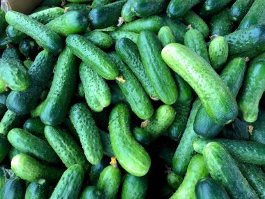 Makro foto yemek salatalıkları. Doku desenli yeşil salatalıklar. Resim taze yeşil salatalıklar