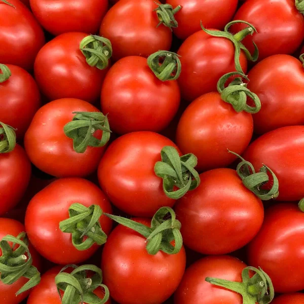 Macro Foto Comida Vegetal Tomate Cereja Tomates Cereja Textura Ramo — Fotografia de Stock