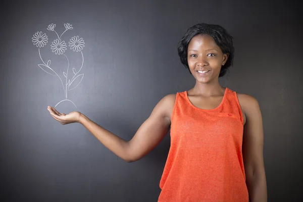 Jižní Afriky nebo africká americká žena učitel nebo student proti tabule rostoucí květiny — Stock fotografie