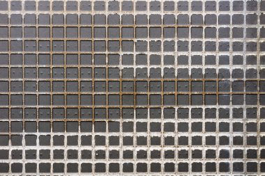 Hücresel seramik doku.