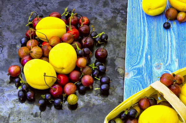 Čerstvé plody meruněk, třešní a angreštu — Stock fotografie