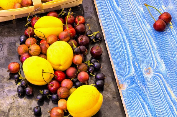 Freshly picked berries apricot, cherry and gooseberry — Stock Photo, Image