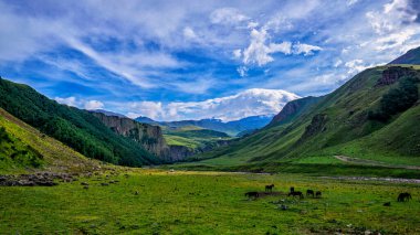 bulutlar Blue mountains