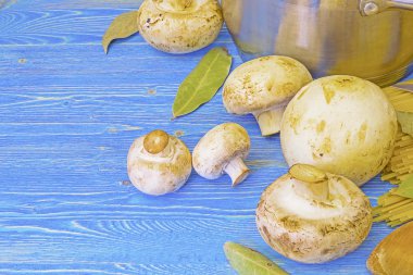 Mantar ve makarna masada