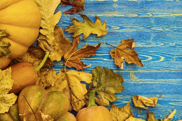 Zucca e foglie d'autunno — Foto Stock