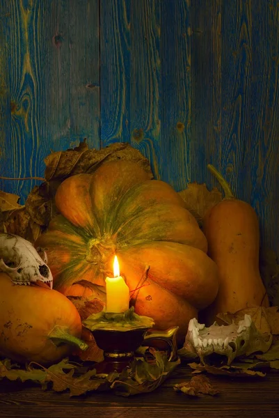 Pumpkins and skulls of animals at dusk lit candle — Stock Photo, Image