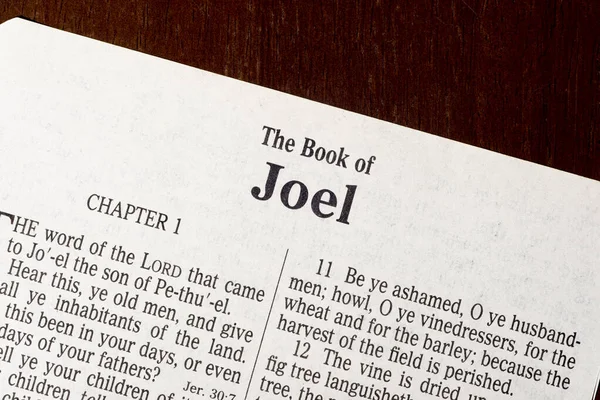 これは1611年に翻訳されたキング ジェームズ聖書です 著作権はありません ジョエルの本のタイトルページ ストック写真