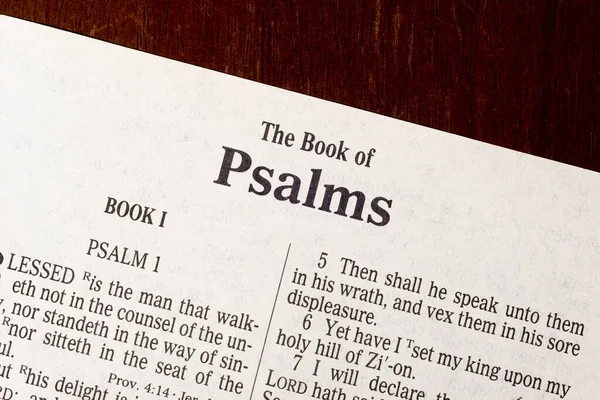 Esta Bíblia King James Traduzida 1611 Não Direitos Autor Macro — Fotografia de Stock