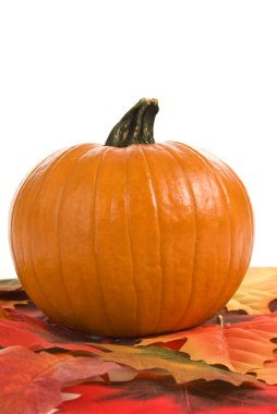 sonbahar yaprakları ile kabak