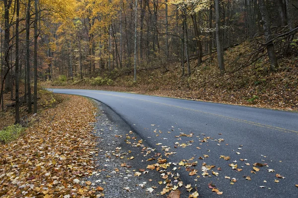 Höstens road — Stockfoto